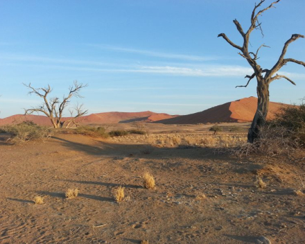 Ontdek de hoogtepunten van Namibië in 18 dagen per fiets
